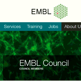 George was appointed (together with Prof. Manolis Dermitzakis, University of Geneva) as the Greek National Representative to the EMBL Council!