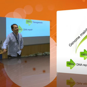 George Garinis @ EMBO Young Investigator Program